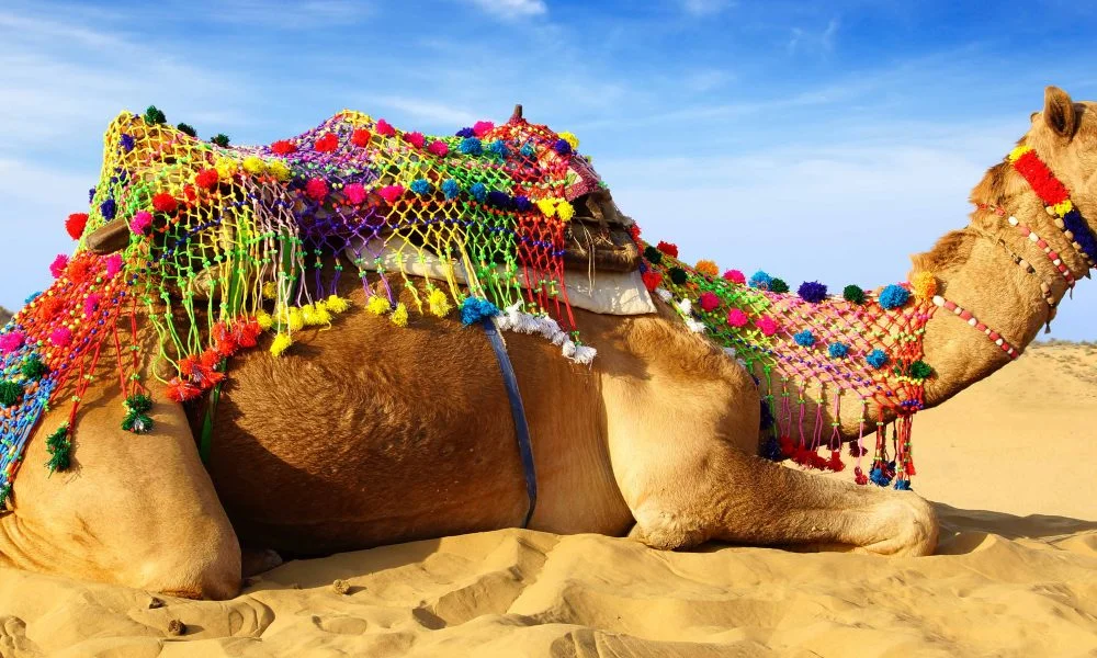 Camel, Mammals, Animal Messages and Totems, spirit-animals.com, Camel Symbolism, Camel Meaning, Camel Totem, Camel Spirit Animal, Camel Dream